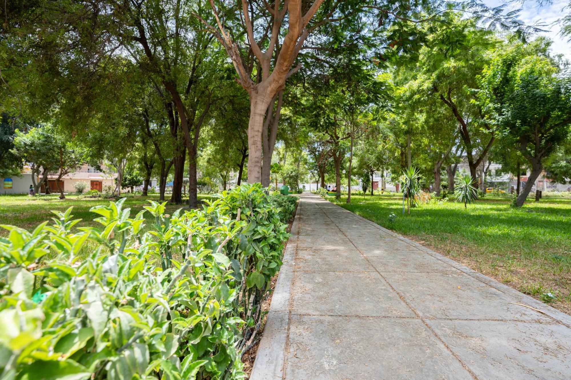 Apartment Rent Piura Eksteriør bilde